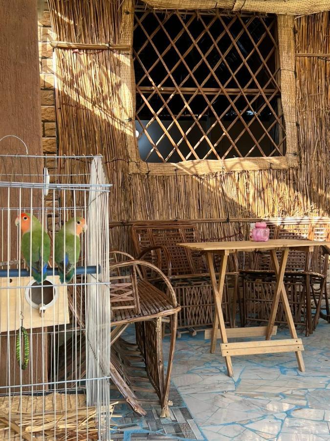 Oasis Camp Hotel Bawiti Luaran gambar